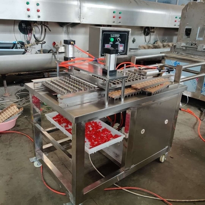 220V Voltage Commercial Gummies Candy Production Machine per la produzione avanzata da 20 a 50 kg